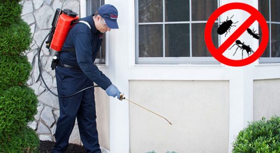 Kızılcahamam Dezenfeksiyon böcek ilaçlama ve haşere kontrolü — ilaclama-tr.com